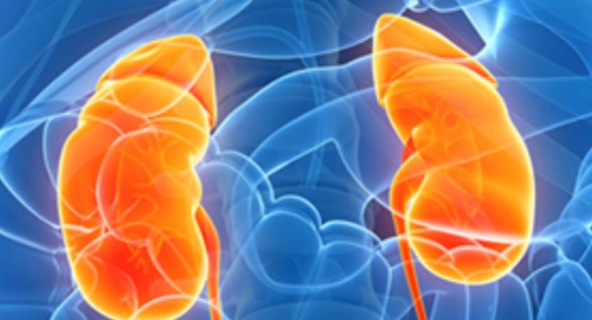 10% of Kidney Patients Unaware of Their Condition