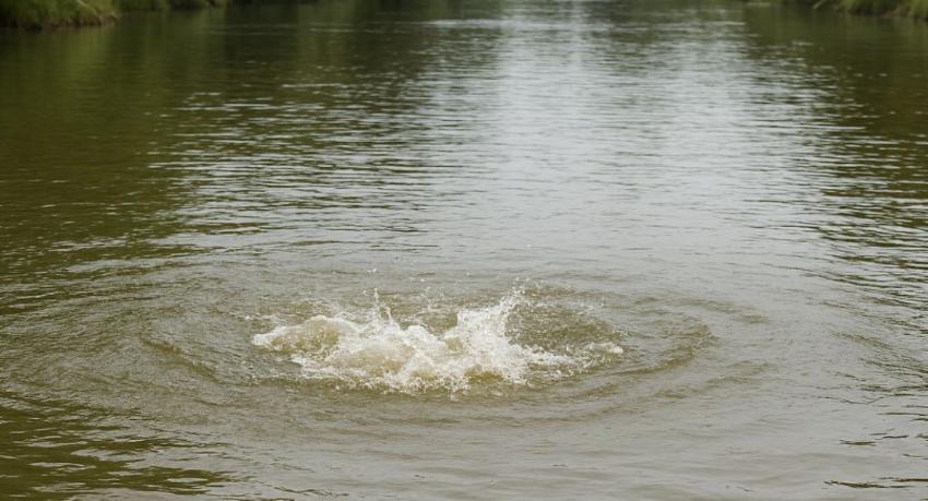 Nine-Year-Old Girl Killed in Crocodile Attack