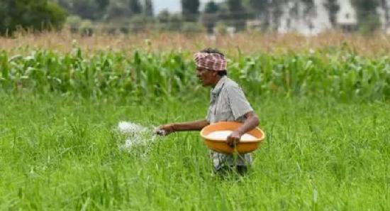 25,000 MT of Urea Fertilizer Shipment Due in May