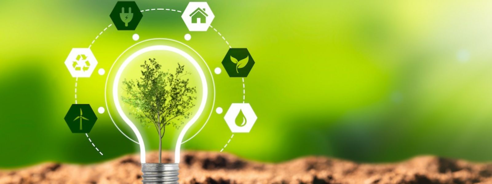 Energy Awareness Programs in Schools