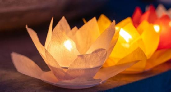 Tight Security, Strict Rules Announced for Vesak