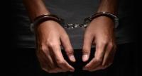 Fraud Charges Levelled Against Local Politician