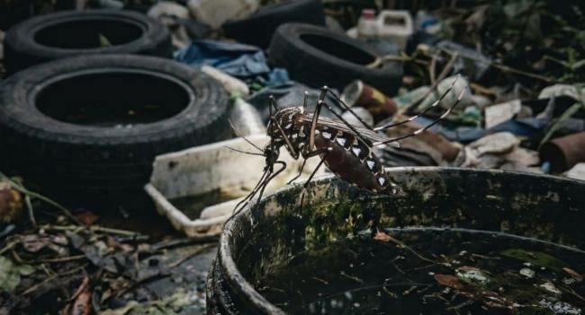 Hospitals Over Capacity as Dengue Deaths Rise