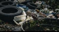Dengue Surge: Over 1,000 New Infections in a Day