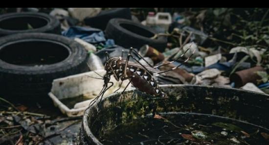 Over 52,000 Dengue Cases Reported In 2026