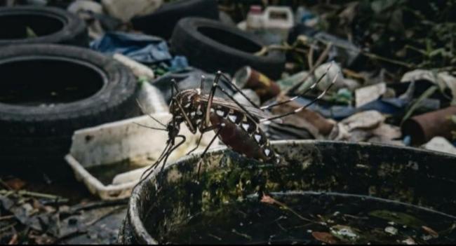 Dengue Cases Reach 53,159 Nationwide