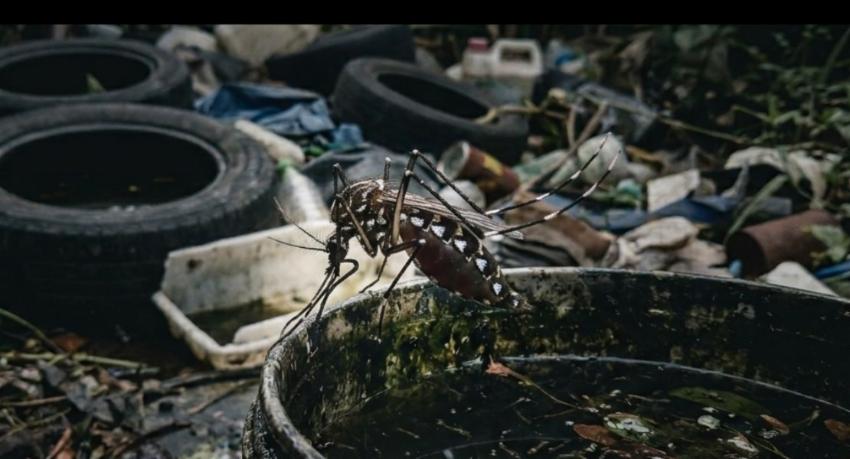 Over 52,000 Dengue Cases Reported In 2026