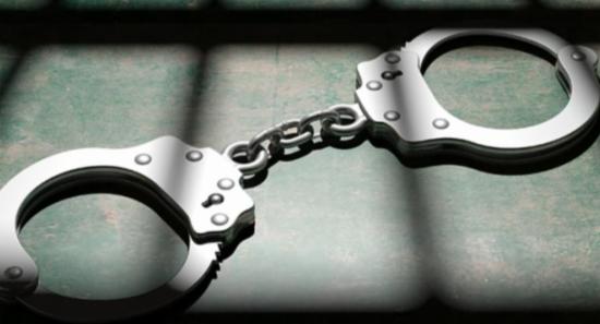 Suspect Nabbed with Fake Number Plates