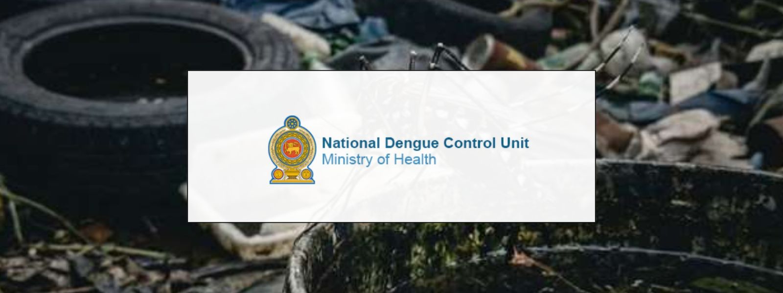 80% of Mosquito Breeding Sites in Public Places