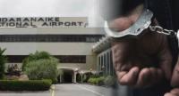 64 Foreign Pigeons Seized At BIA