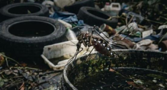 Dengue Cases Surge Past 58,000