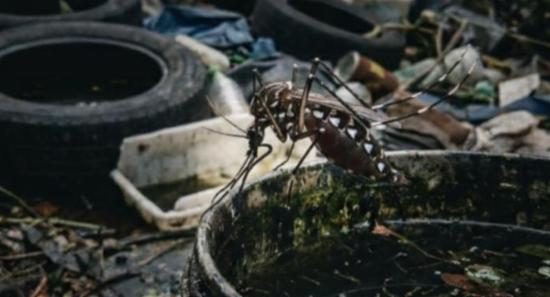 Program to Tackle Garbage Issues During Dengue