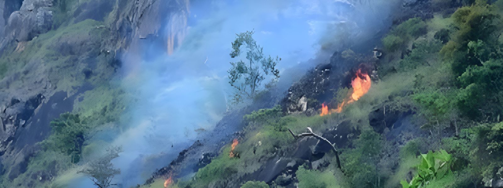 Legal Action Against Those Setting Forest Fires