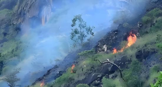Legal Action Against Those Setting Forest Fires