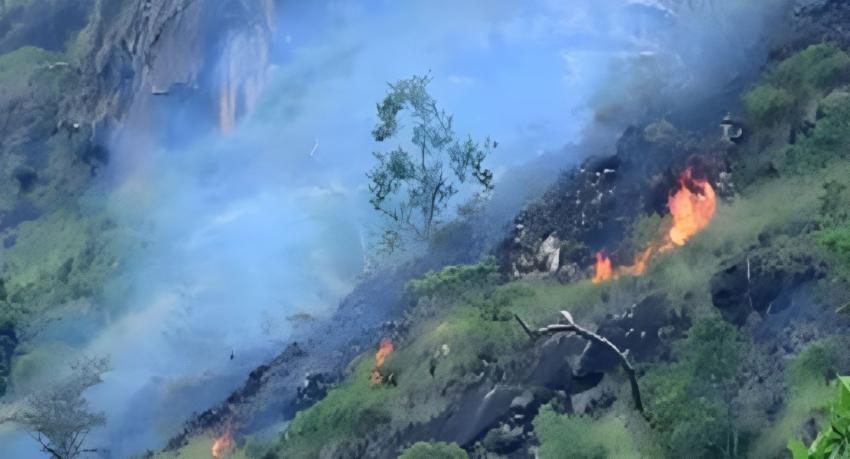 Legal Action Against Those Setting Forest Fires