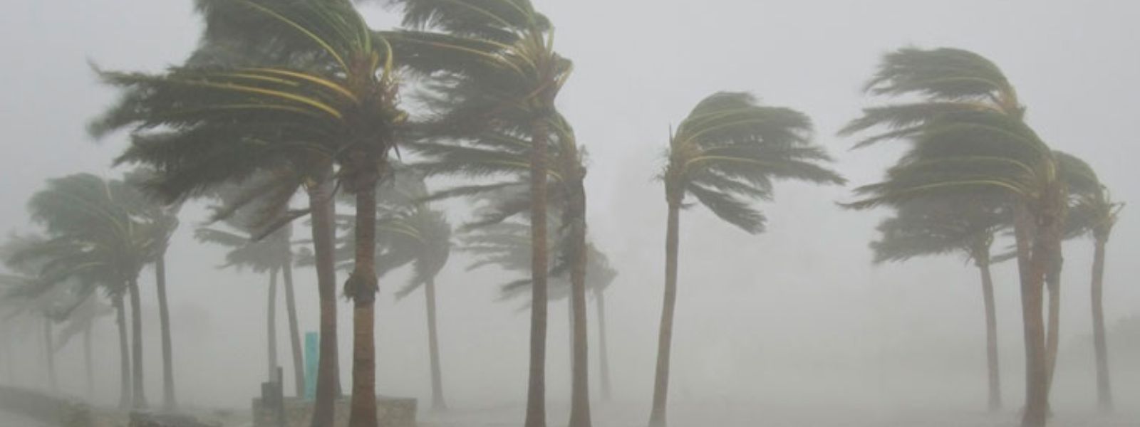 Strong Winds And Rough Seas Warning Issued