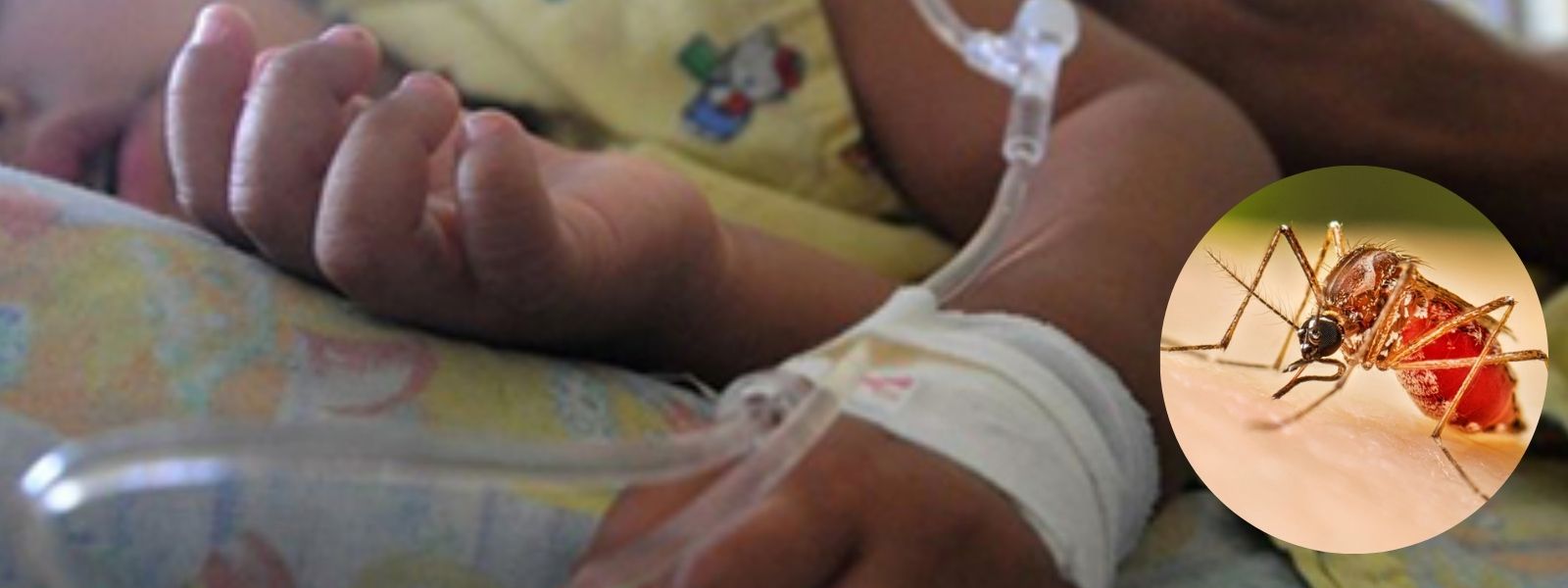 Children with Fever Adviced to Seek Immediate Care