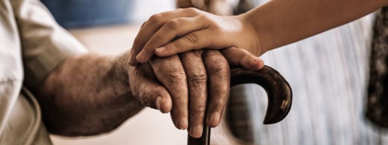 Period to Register Elders' Homes Until September