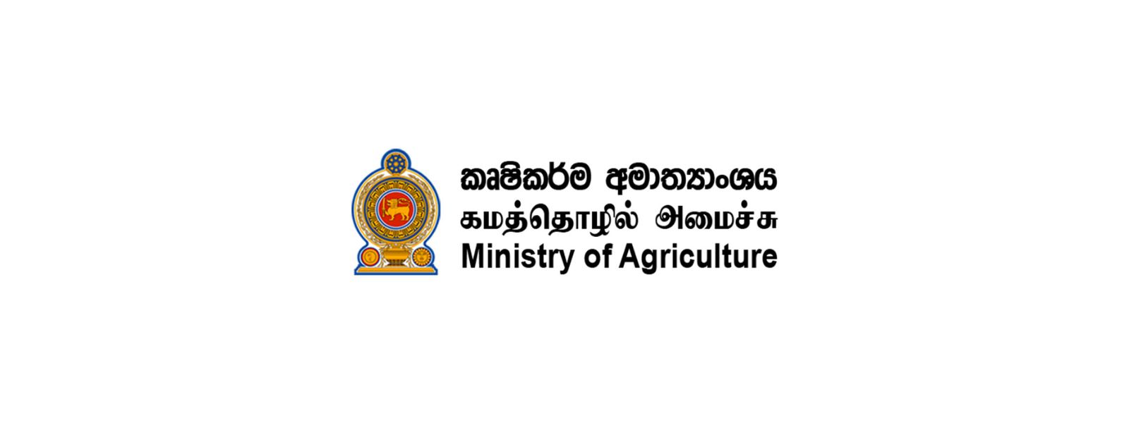 Plans Underway to Ensure Food Security Amid ElNiño