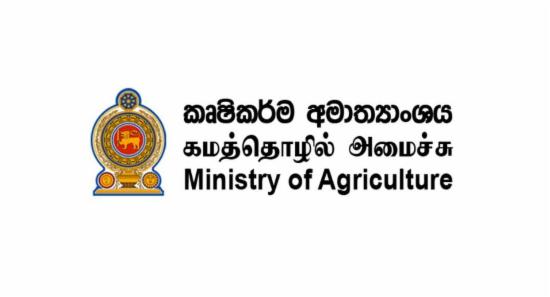 Plans Underway to Ensure Food Security Amid ElNiño