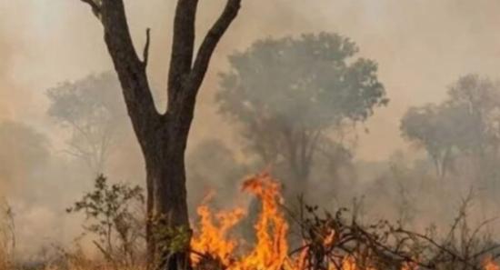 Fire Ravages Hurulu Wewa Reserve