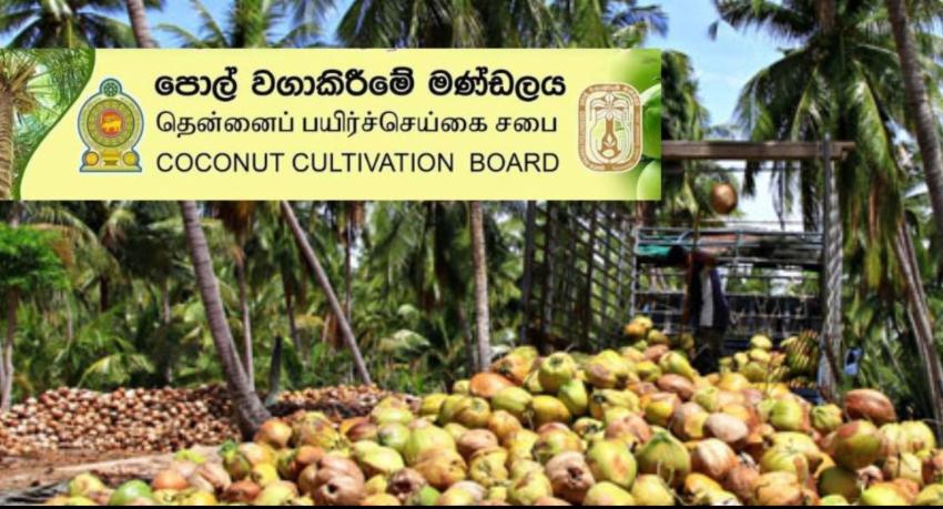 Rs. 2.5 Billion Subsidy to Protect Coconut Crops