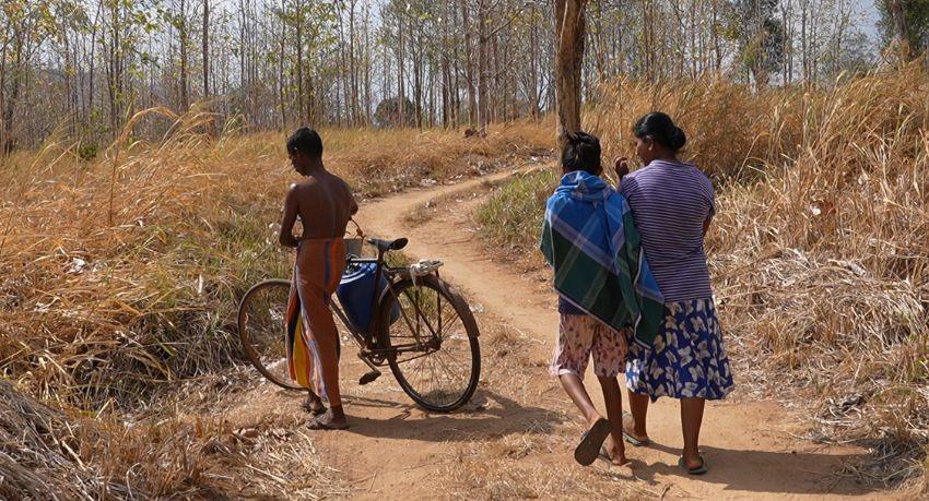 One Family’s Fight Against Drought and Wild Elephants