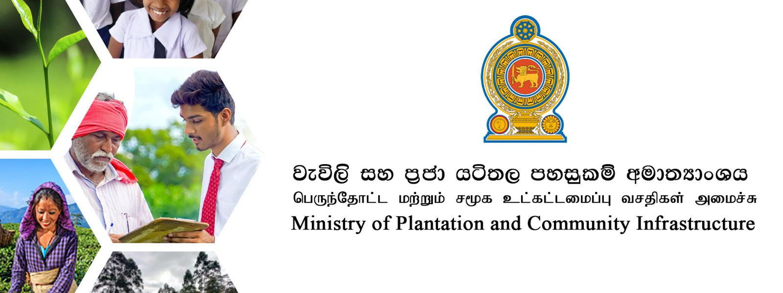 Plantation Workers To Receive Rs. 4.5 Billion