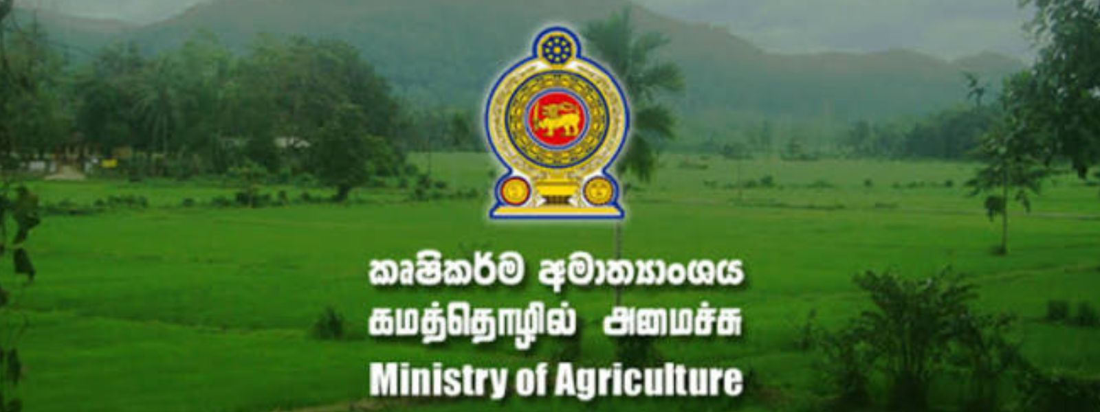 China to Assist Sri Lanka with Smart Agriculture