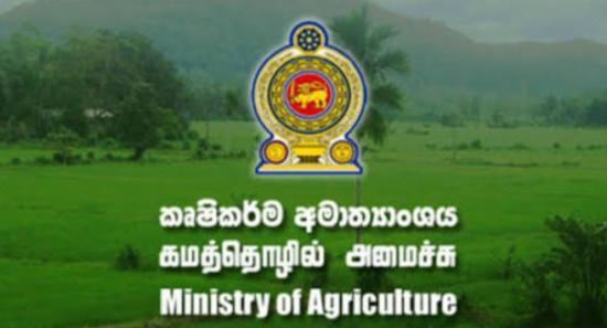 China to Assist Sri Lanka with Smart Agriculture