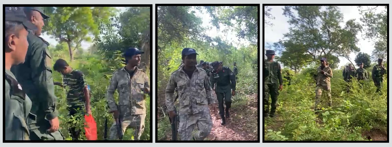Army Deploys 30-Member Team To Locate Tusker 'Agbo