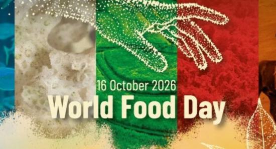 World Food Day Highlights Food Waste and Security