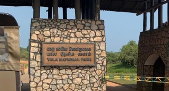 Yala National Park Zones 1 and 2 to Reopen