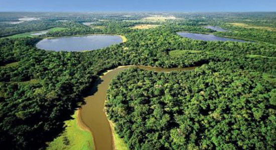 මින්නේරිය ජාතික වනෝද්‍යානයට මිලියන 238.83 ආදායමක්