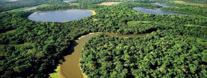 මින්නේරිය ජාතික වනෝද්‍යානයට මිලියන 238.83 ආදායමක්