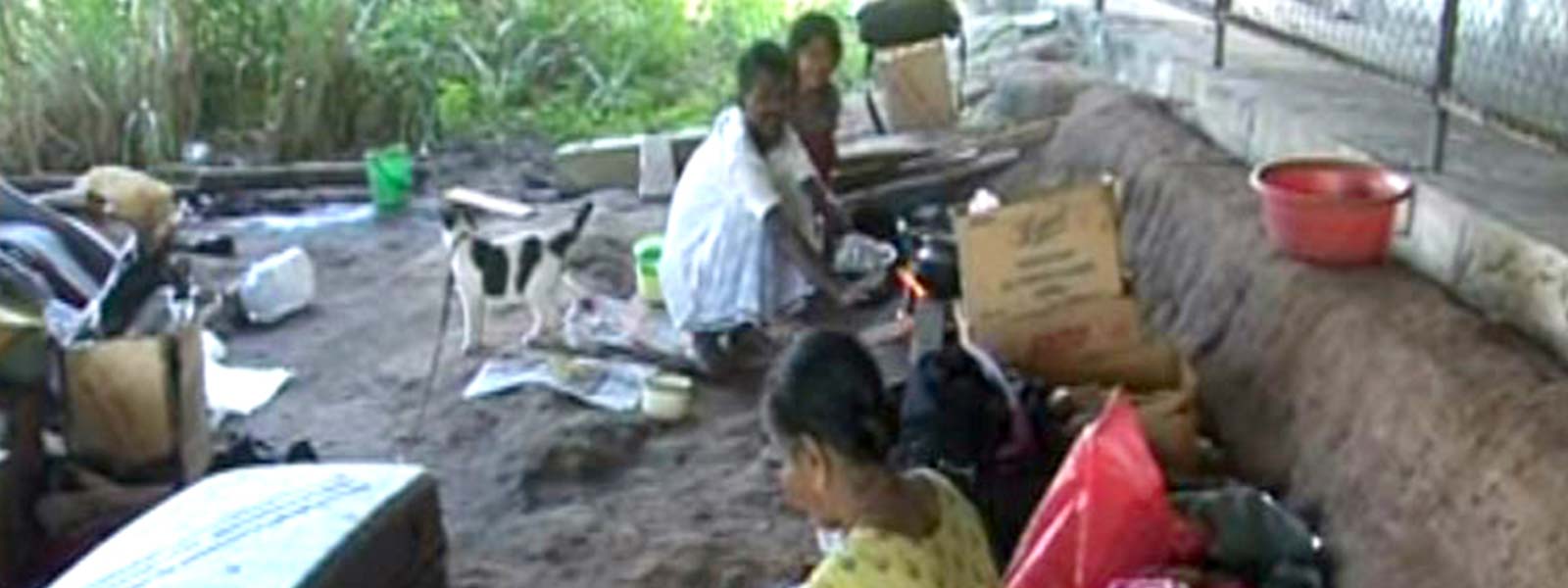 පිළිසරණක් නොමැතිව කටුගස්තොට පාලම යට දිවි ගෙවන...