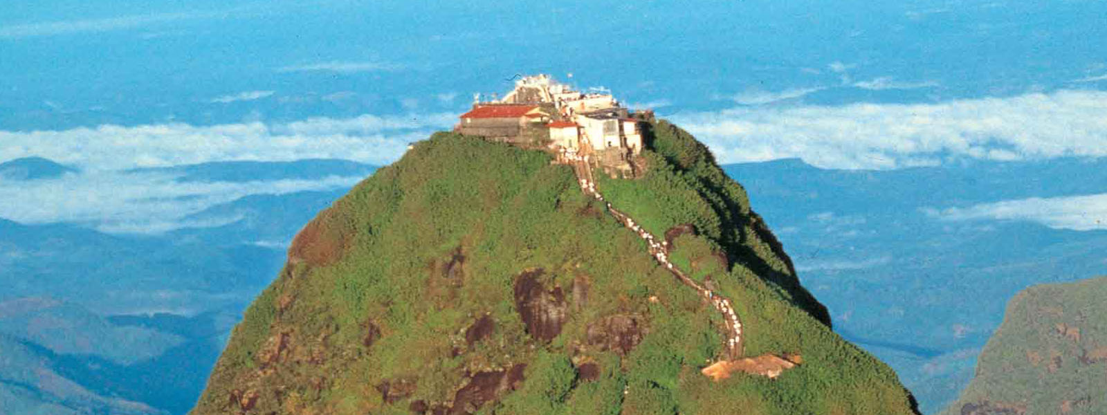මත්ද්‍රව්‍ය රැගෙන ශ්‍රීපාදේ ගිය 20 ක් අත්අඩංගුවට
