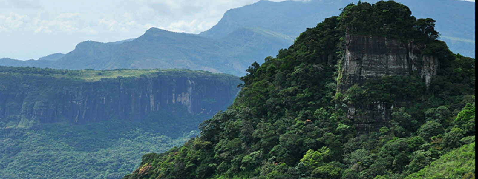 නකල්ස් රක්ෂිතයේදී අතුරුදන්වූවන් හමුවෙති
