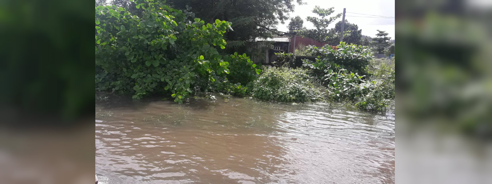 උතුරේ ගංවතුරෙන් විපතට පත්වූවන්ට වන්දි ලබාදීම ඇරඹේ
