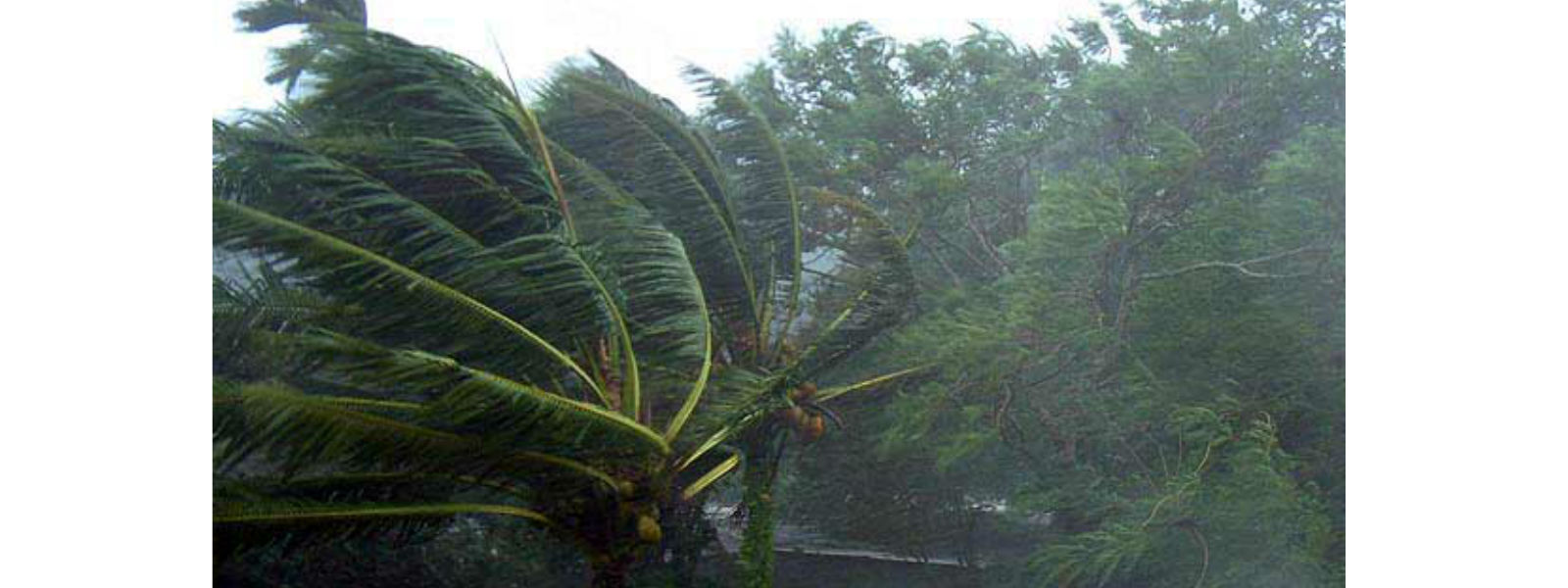 දිවයිනේ බොහෝ ප්‍රදේශවලට තද සුළං