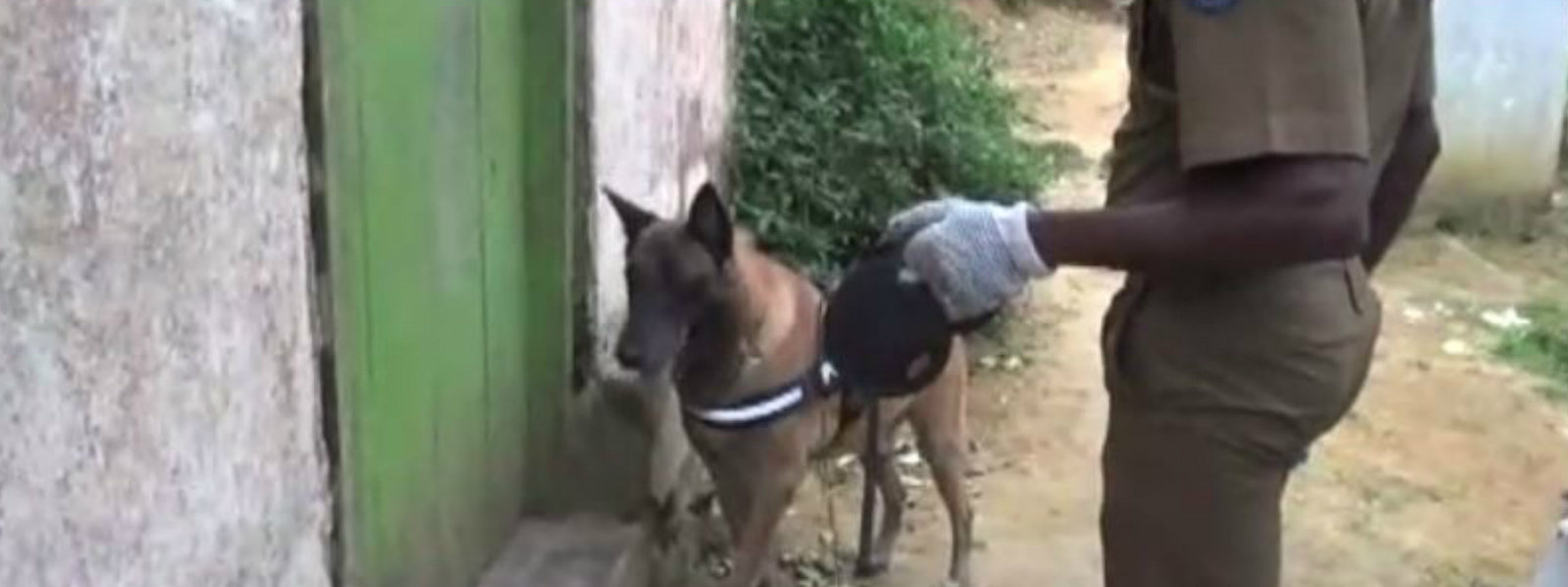 බලංගොඩ දස හැවිරිදි දරුවෙකු අතුරුදන් 