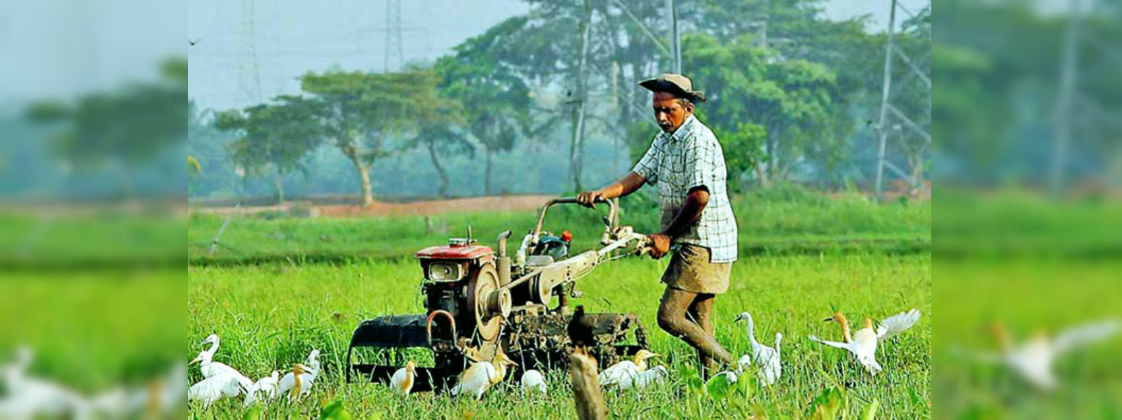 ව්‍යවසායකයින්ට කෘෂි සේවා උපකරණ කට්ටලයක් 