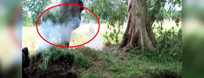 වනජීවී නිලධාරීන්ගේ නොසැලකිලිමත්කමේ තරම...