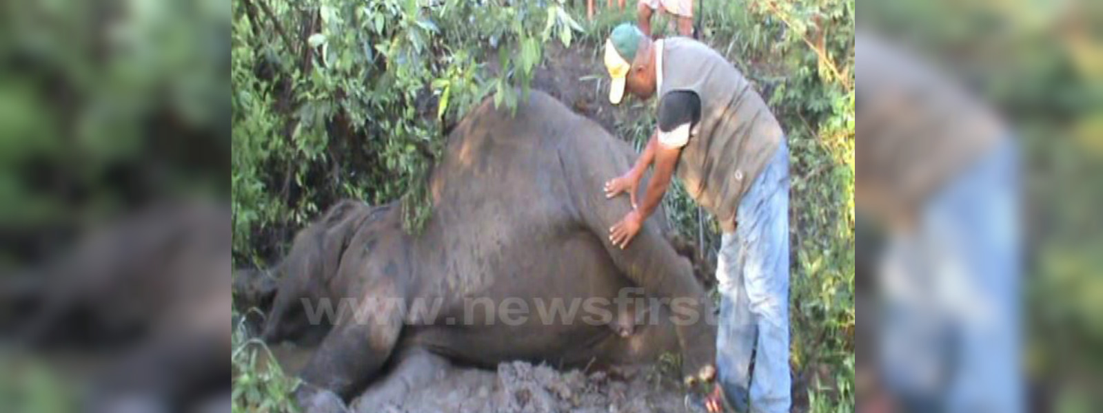 දුම්රියක ගැටී සද්දන්තයින් දෙදෙනෙකු මරුට...