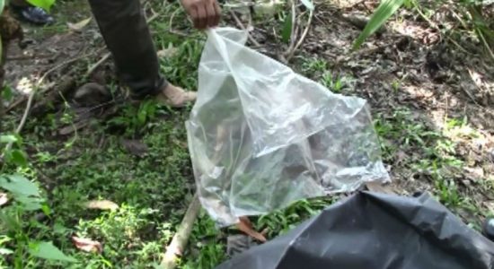 බොල්ගොඩ පාළම අසල කදින් වෙන් කළ කාන්තා හිසක්