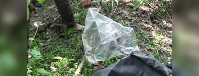 බොල්ගොඩ පාළම අසල කදින් වෙන් කළ කාන්තා හිසක්
