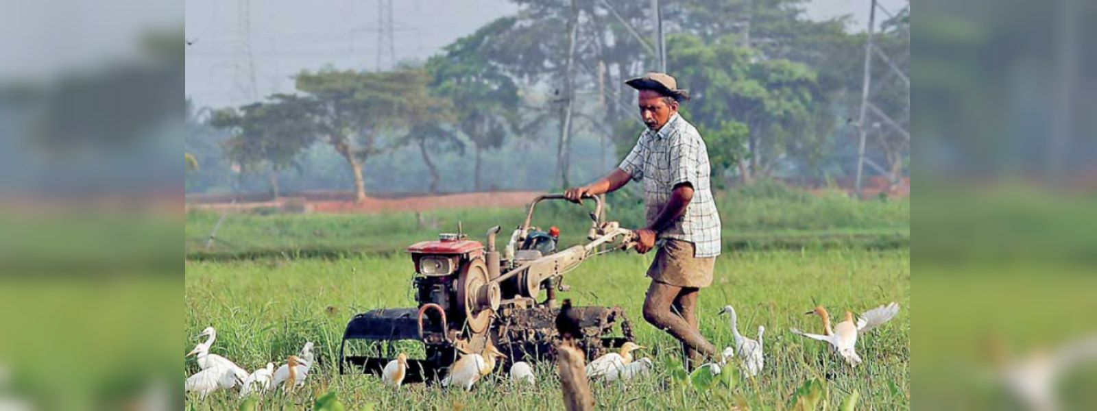 කෘෂි ව්‍යවසායකයින්ට වසර 5 කට සහනයක්