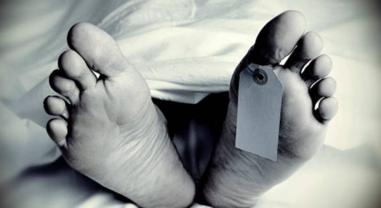 බදුල්ල රෝහල ආසන්නයේ මාර්ගයකින් මළ සිරුරක් සොයා ගනී