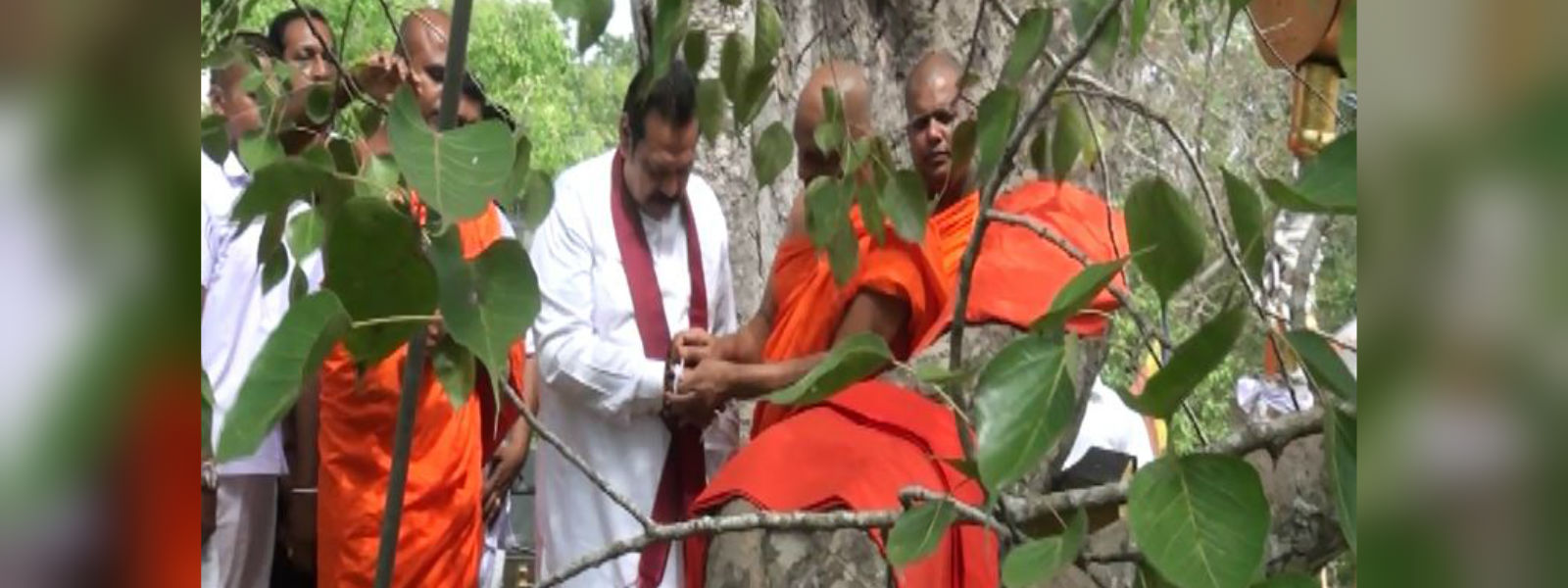 විපක්ෂ නායක ශ්‍රී මහා බෝධීන් වහන්සේ වැඳපුදා ගනී