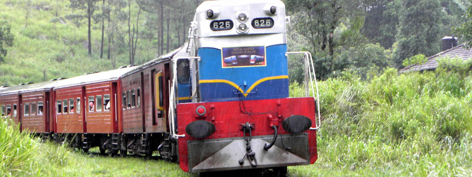 උඩරට මැණිකේ හීල්ඔයේදී පීලිපනී